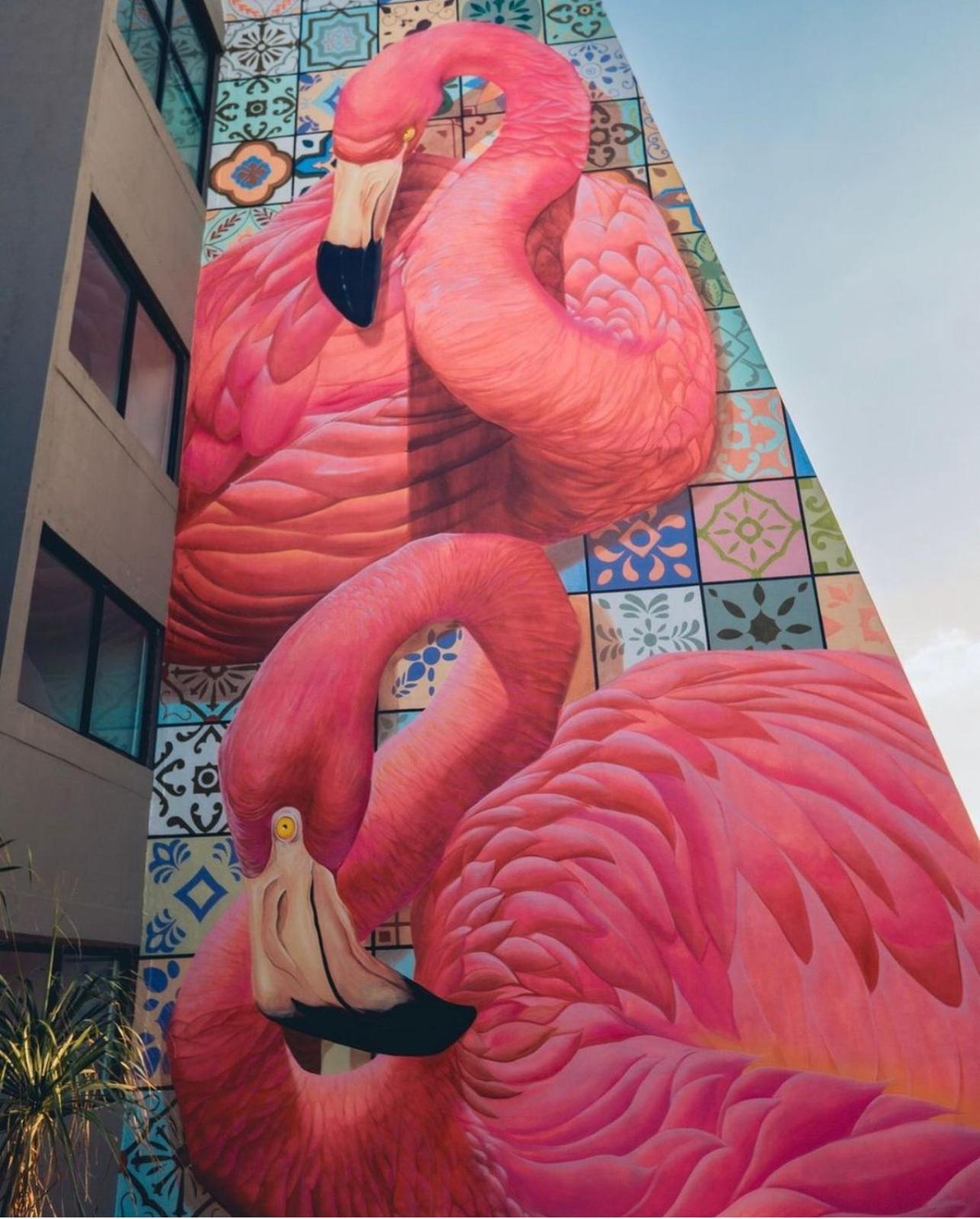 Flamingo Cancun All Inclusive Luaran gambar
